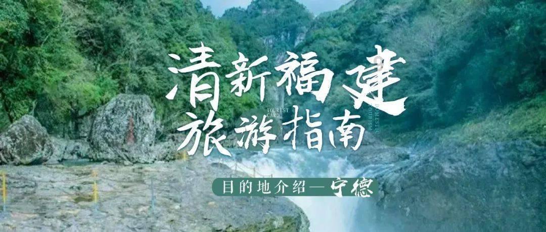 世纪之案
