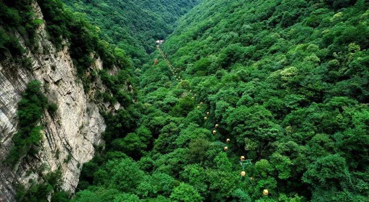 日常炒菜用植物油好，还是动物油好？游戏画面